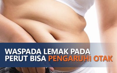WASPADA LEMAK PADA PERUT BISA PENGARUHI OTAK